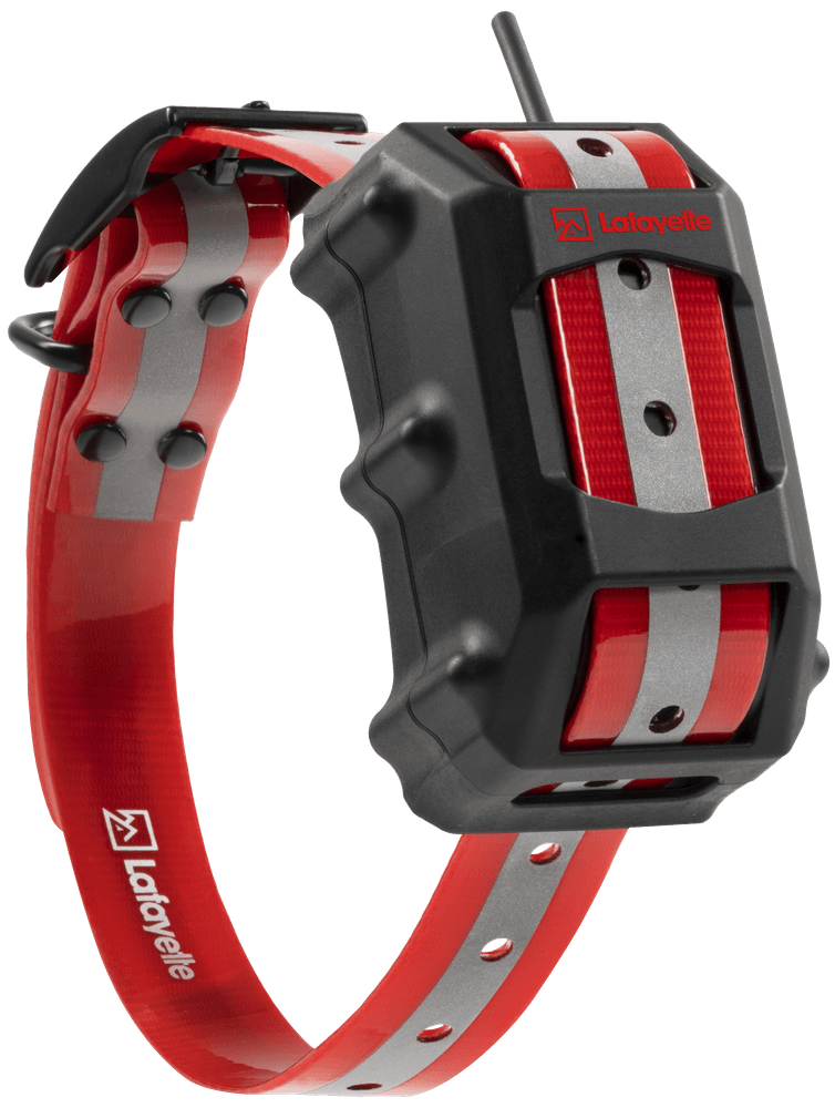 productImage: GPS C4 GSM/LTE