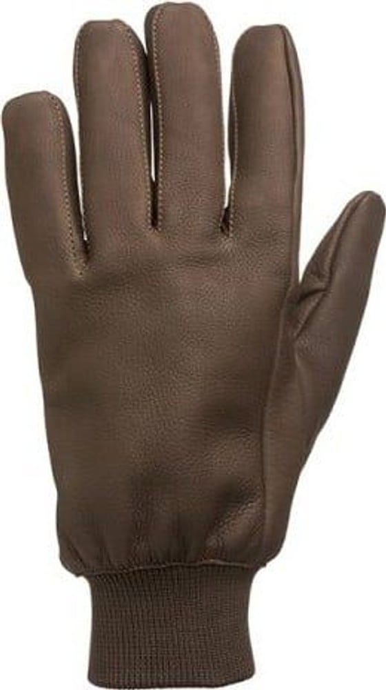 productImage: Milano Gloves