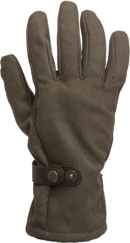 Edmonton Gloves, view: 1
