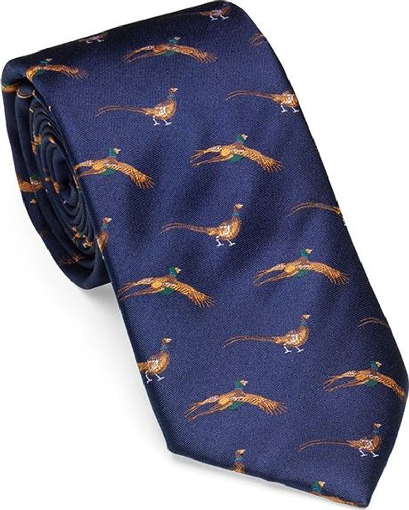 productImage: Fly-By Pheasant Tie Old Navy