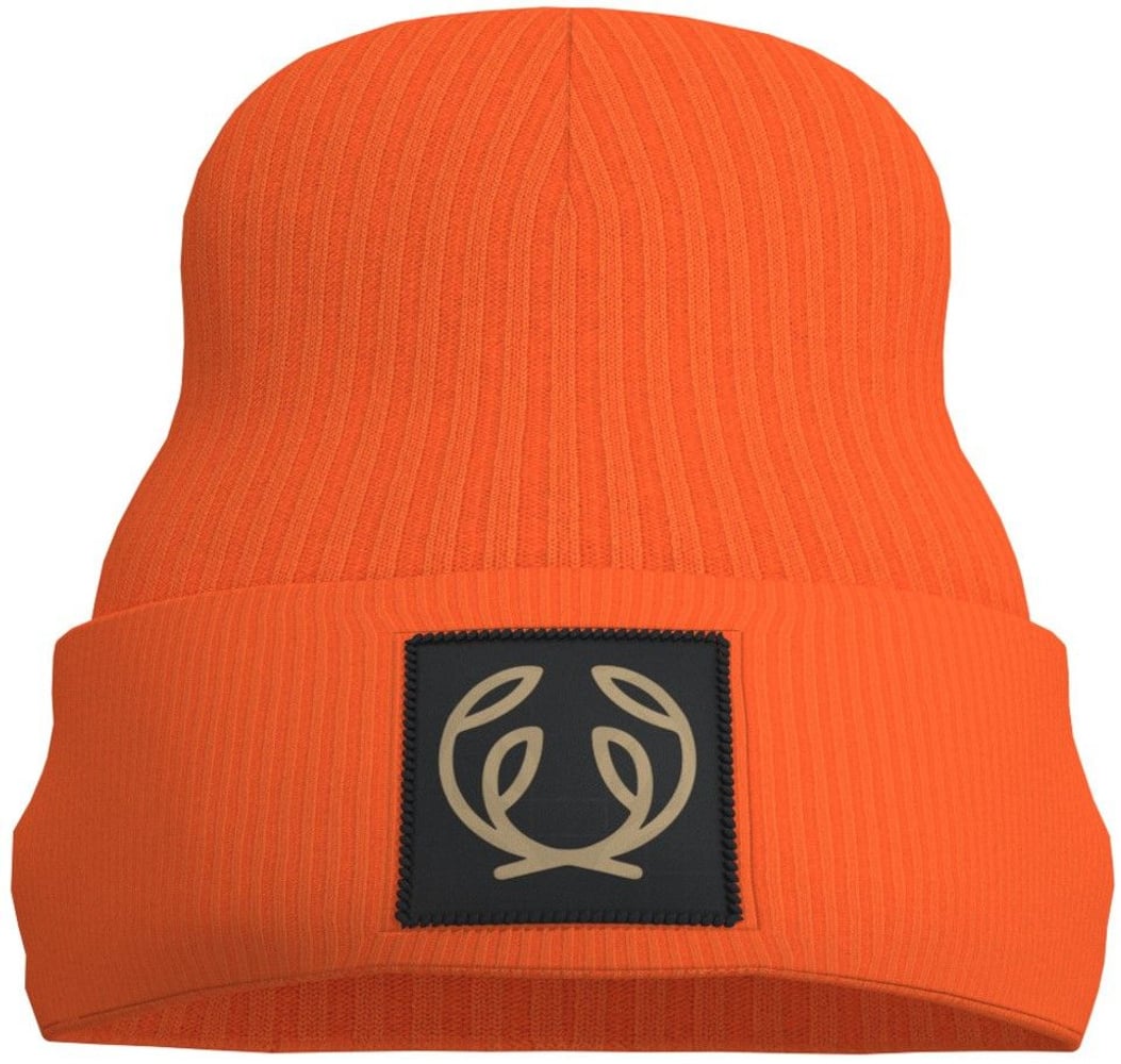 productImage: Symbol Beanie High Vis Orange
