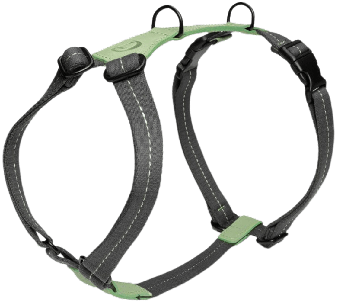 Harness M-L Madeira Mint, view: 1
