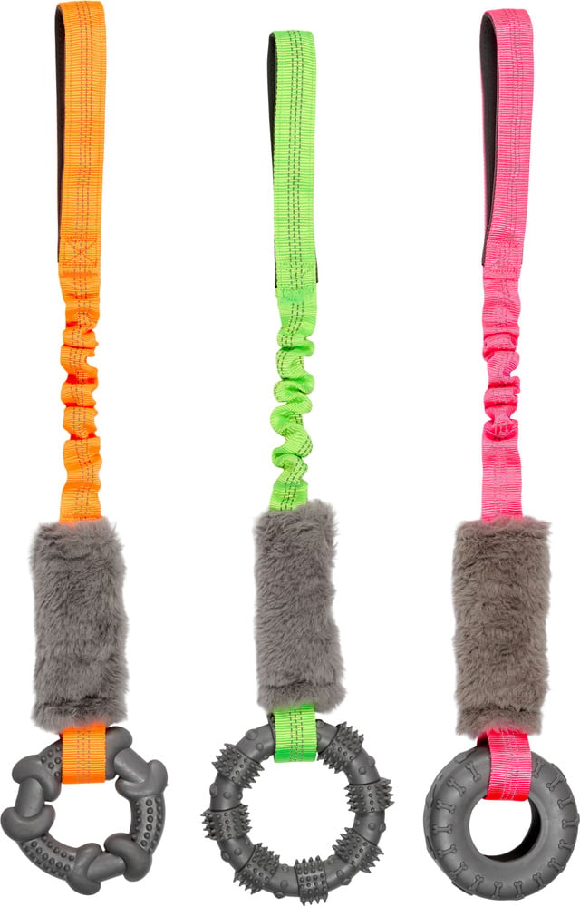 productImage: Bungee Tug Toy with TPR Ring