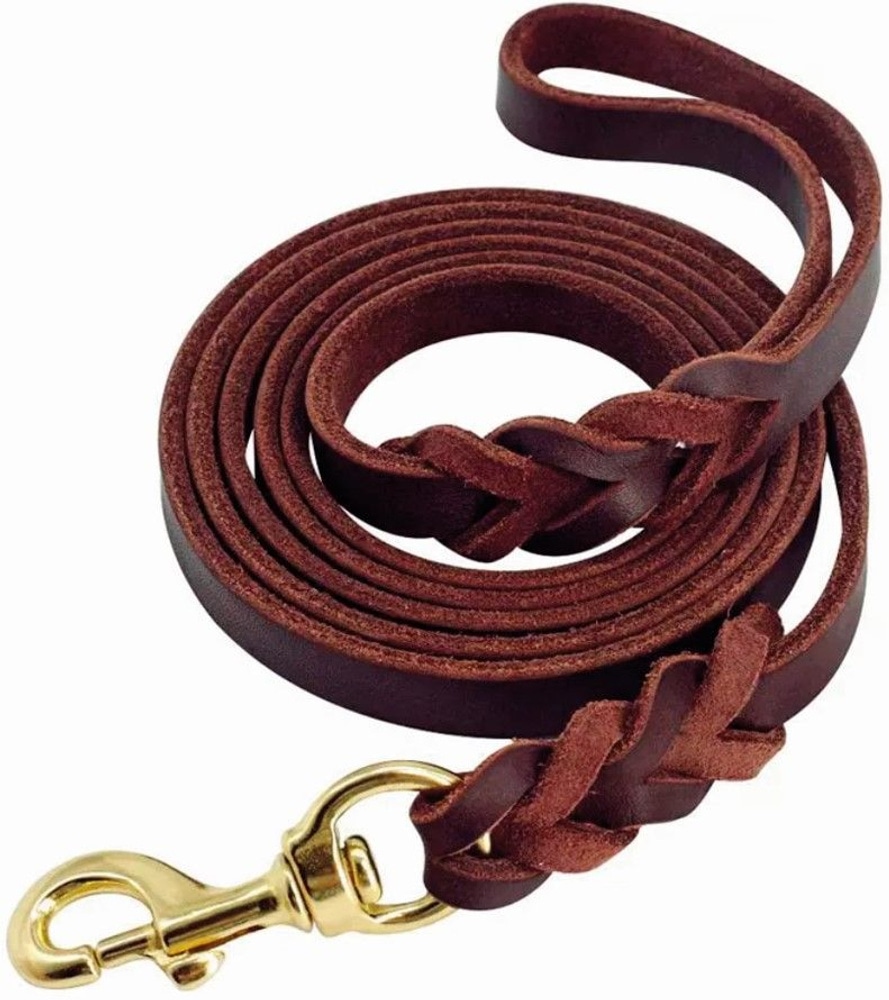 productImage: Braided Leash 10 mm x 210 cm