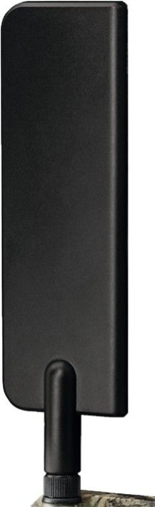 productImage: 4G trail camera antenne