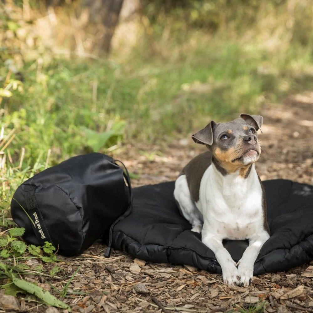 productImage: Back on Track Hundeseng Oval Svart 80x100 cm