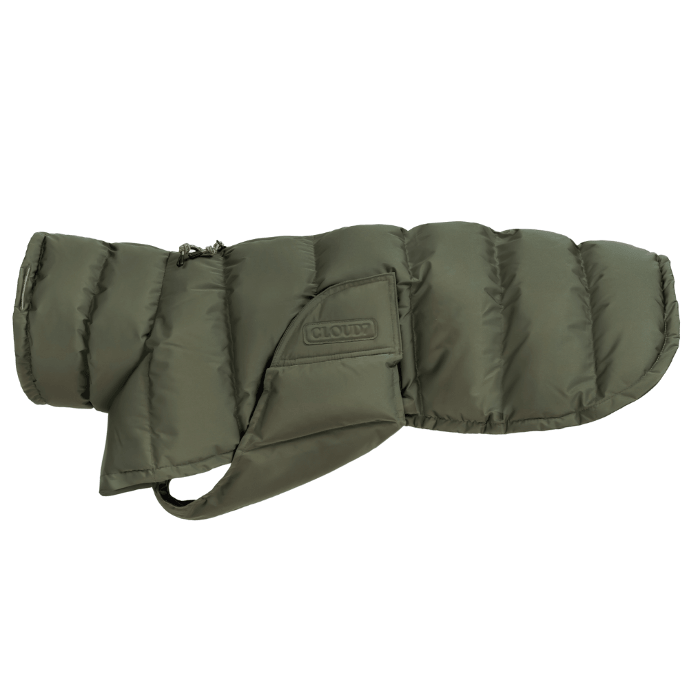 productImage: Everest Winter Coat Light size 6 Olive