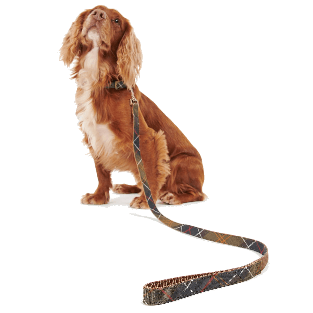 Tartan/Webbing Dog Lead Classic Tartan, view: 1