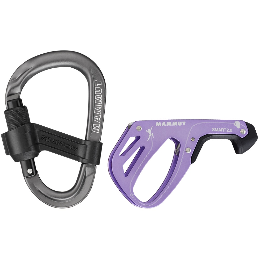 productImage: Smart 2.0 Belay Package Alpine Calamint