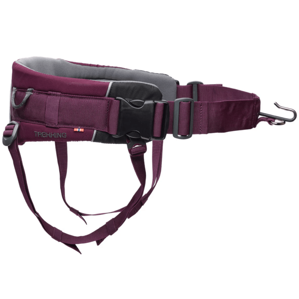 productImage: Trekking Belt 2.0 Purple