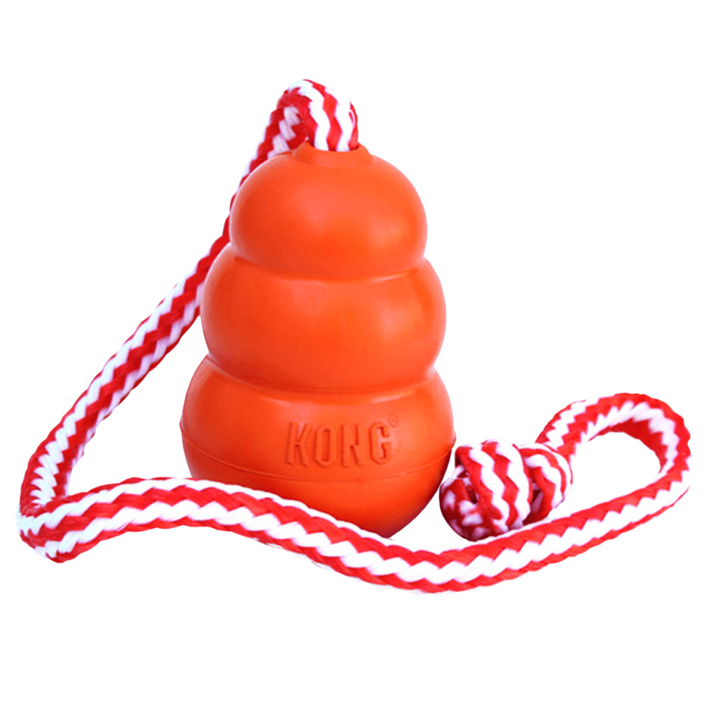 productImage: Aqua M 9X6Cm Orange