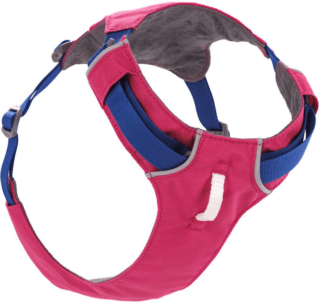 productImage: Hi & Light Harness Alpenglow Pink