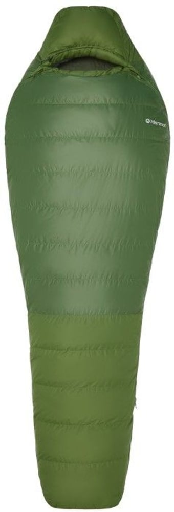 productImage: Mad River 30 Foliage/Rosin Green