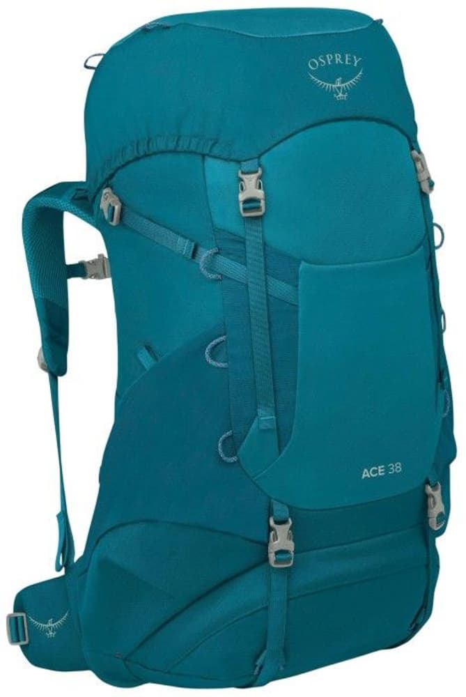 Blue Spikemoss/Deep Peyto