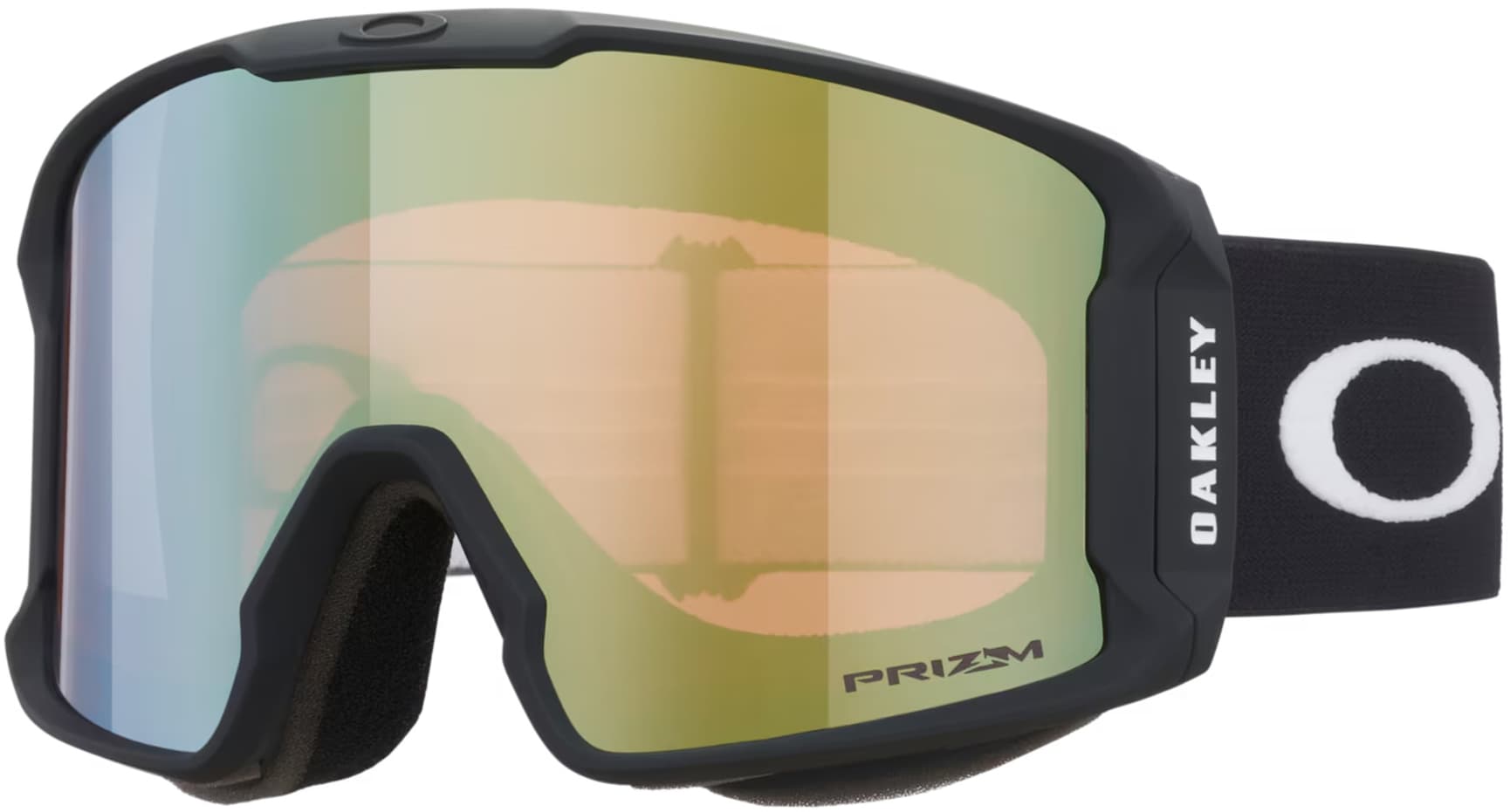 Matte Black/Prizm Sage Gold
