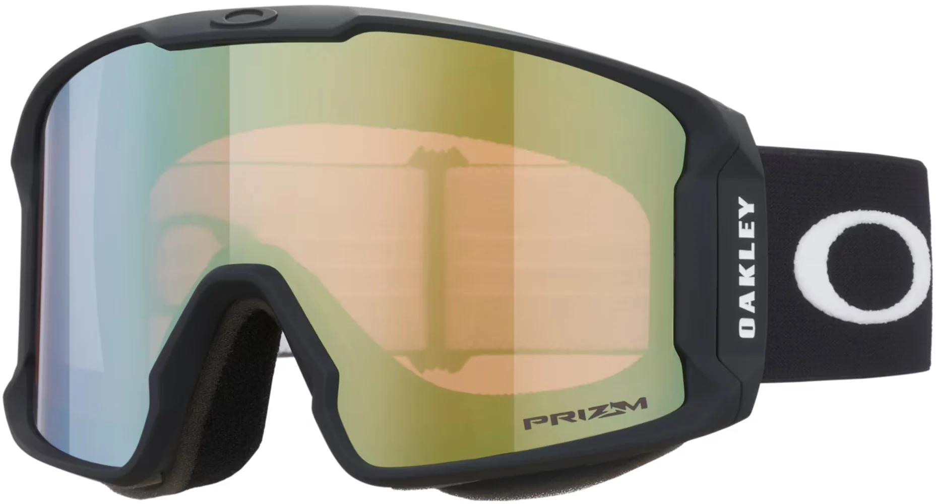 Line Miner L Matte Black/Prizm Sage Gold Iridium, view: 1