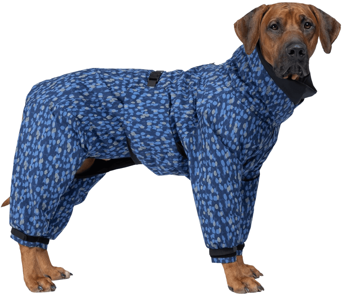 productImage: Paikka Winter Suit Blue