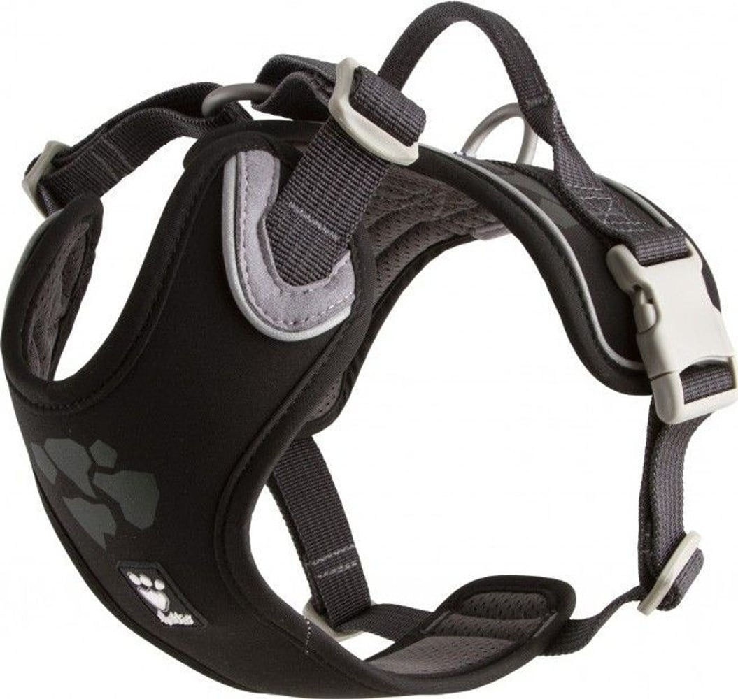 productImage: Weekend Warrior Sele Korp 40-45 cm