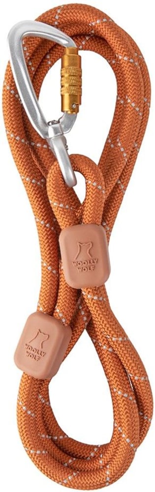 productImage: Rope Leash 10 mm Terracotta