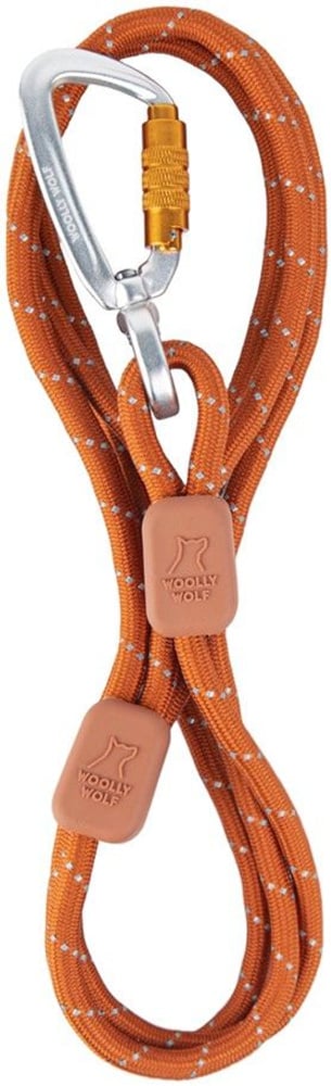 productImage: Rope Leash Thin 8 mm Terracotta