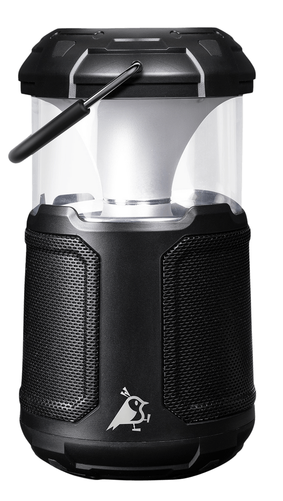 productImage: Soundbird B1