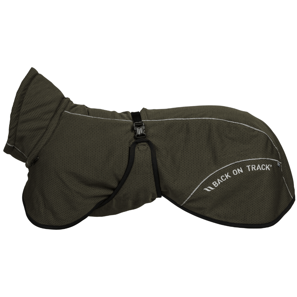 productImage: Bay Mesh Coat Low Set Tail 40-50 cm Olive