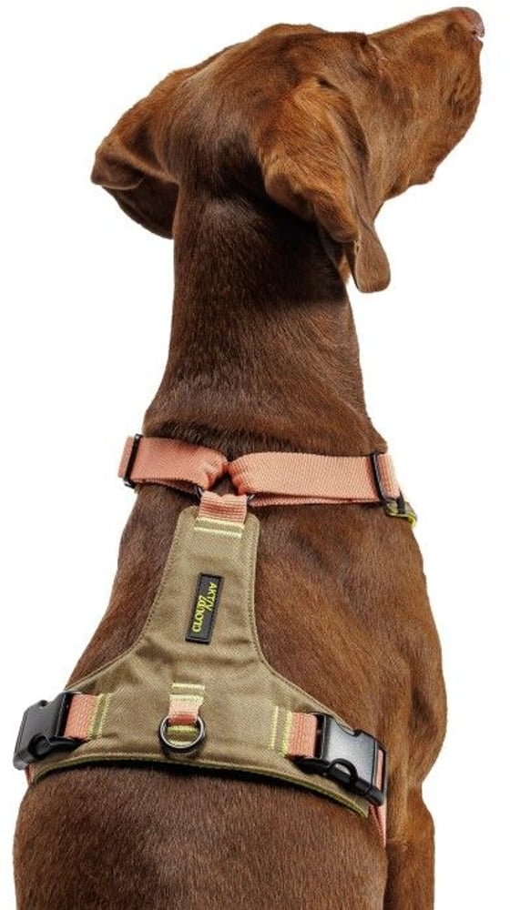 productImage: Y-2-Harness Khaki / XS-S Peach