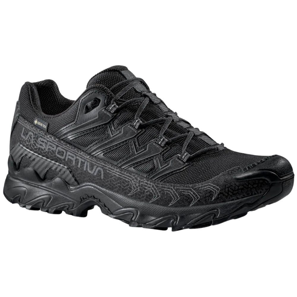 productImage: Ultra Raptor II GTX Black/Reflective