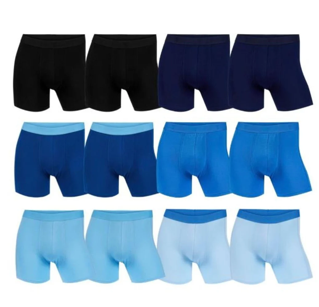 productImage: Boxer Basic Briefs 12-pk Blue