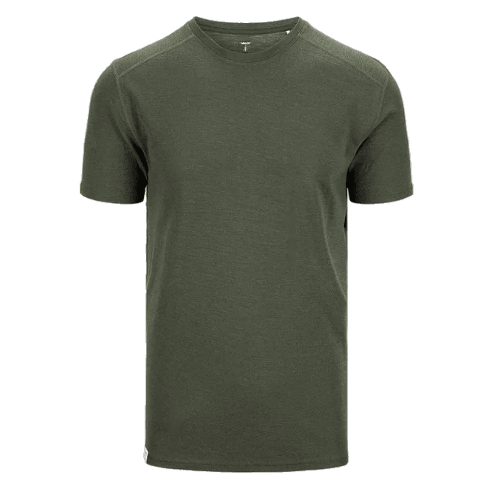 Olive Night