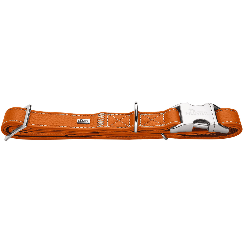 productImage: Collar Cannes Alu-Strong 40-55/L Leather Orange