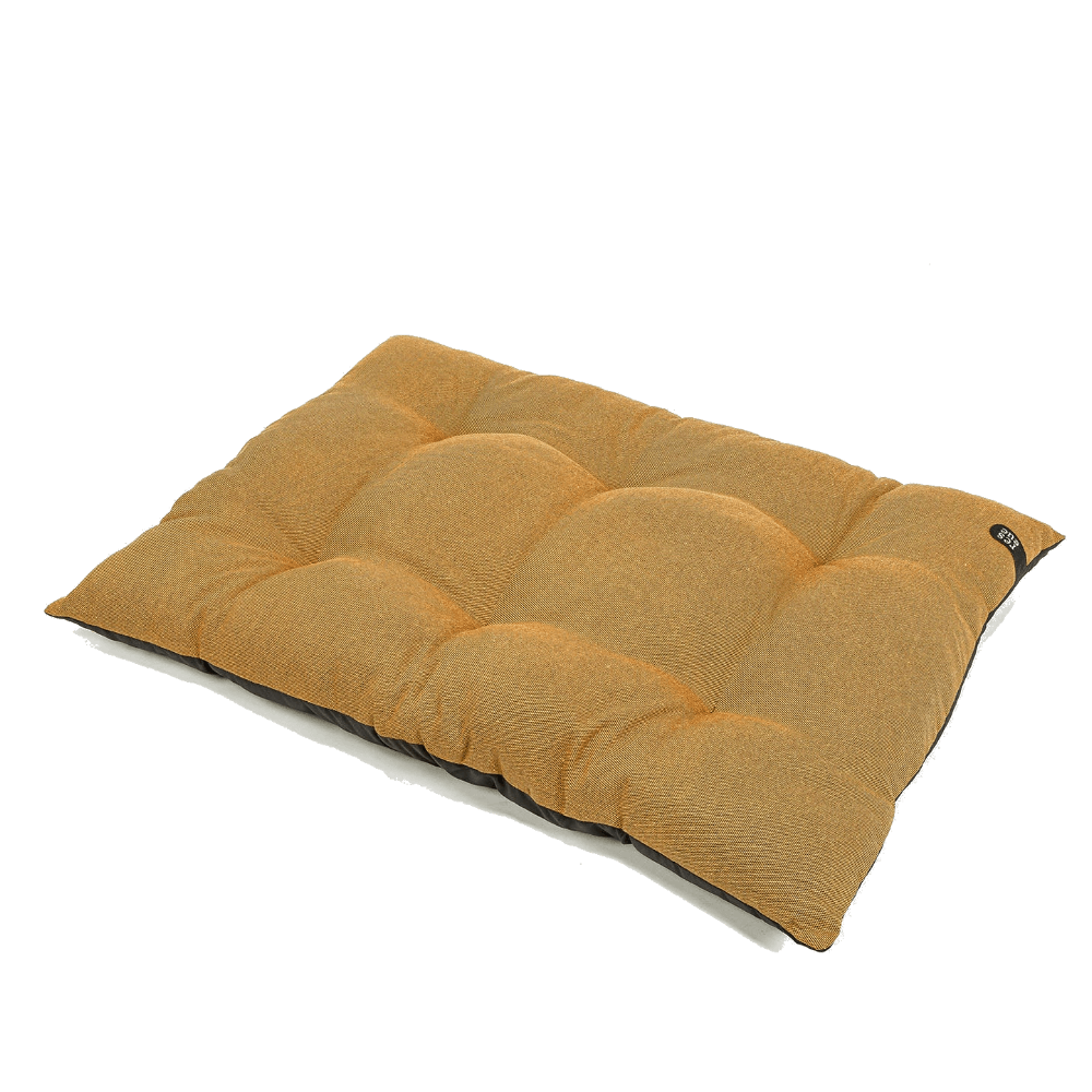 productImage: Rescue Puteseng Amber M