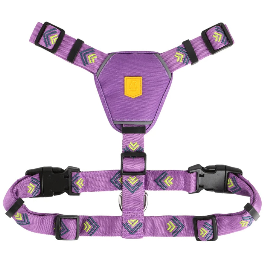 Northern Lights Harness XXS-S Violet, view: 1