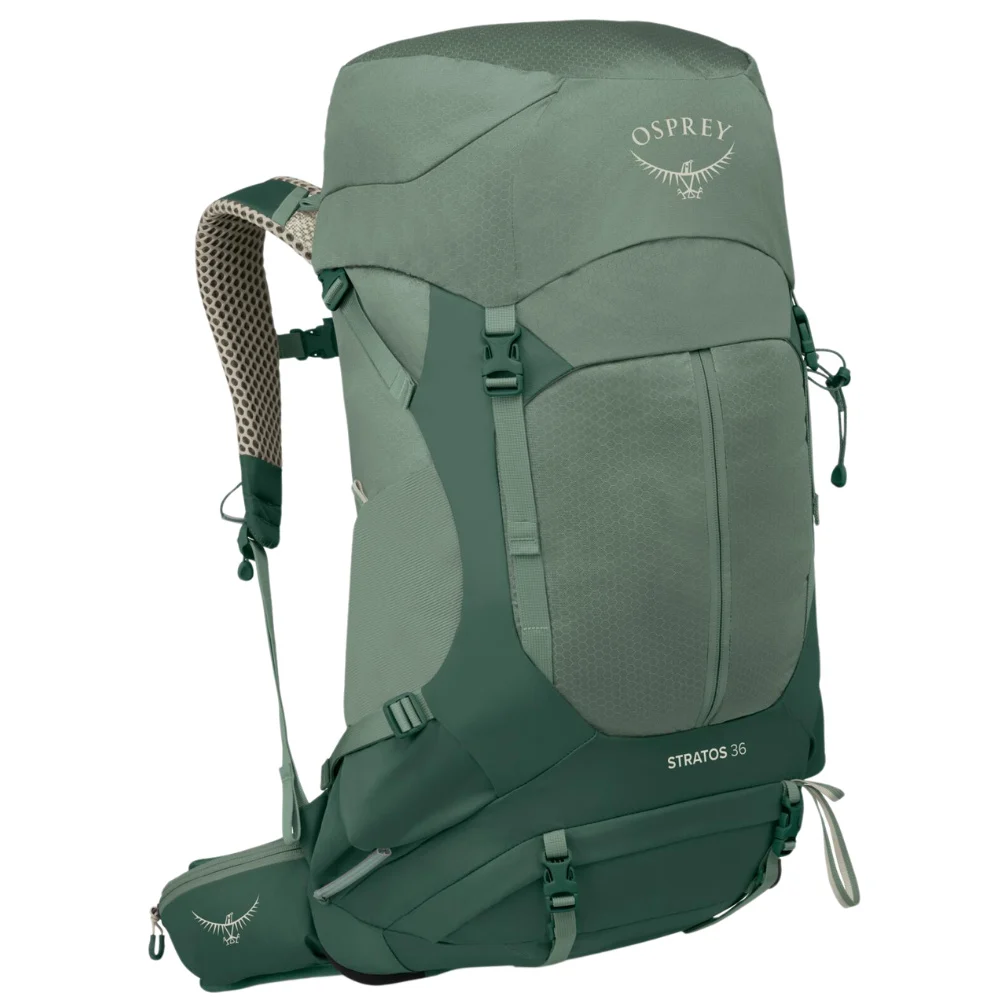 Stratos 36 Pine Leaf Green, view: 1