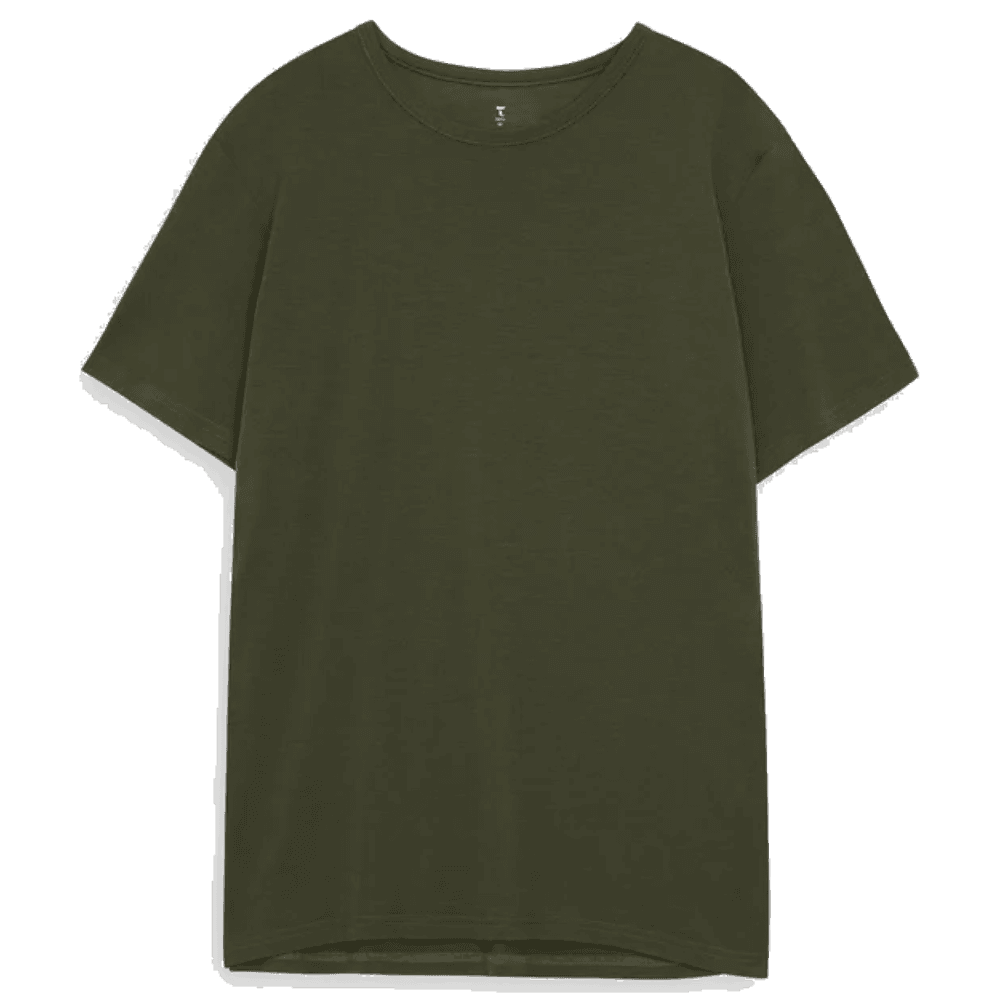 Olive Night