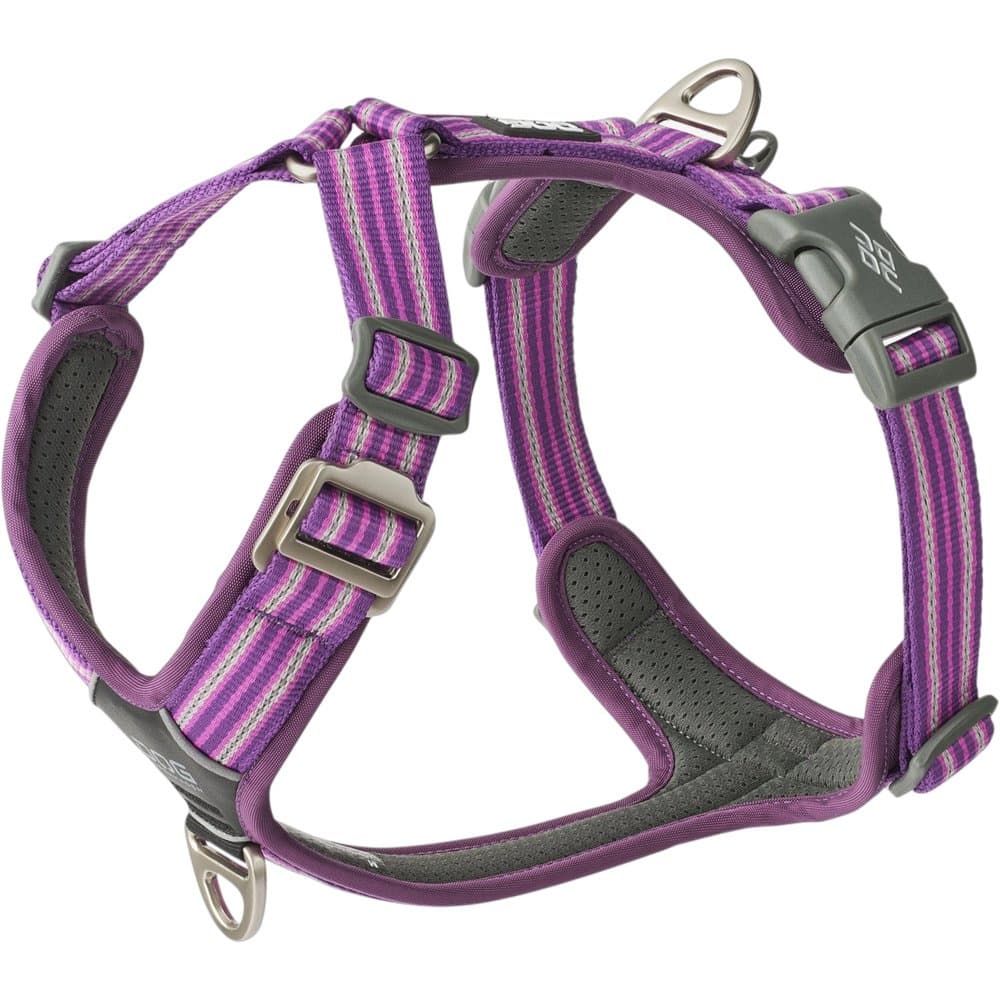 Purple Passion