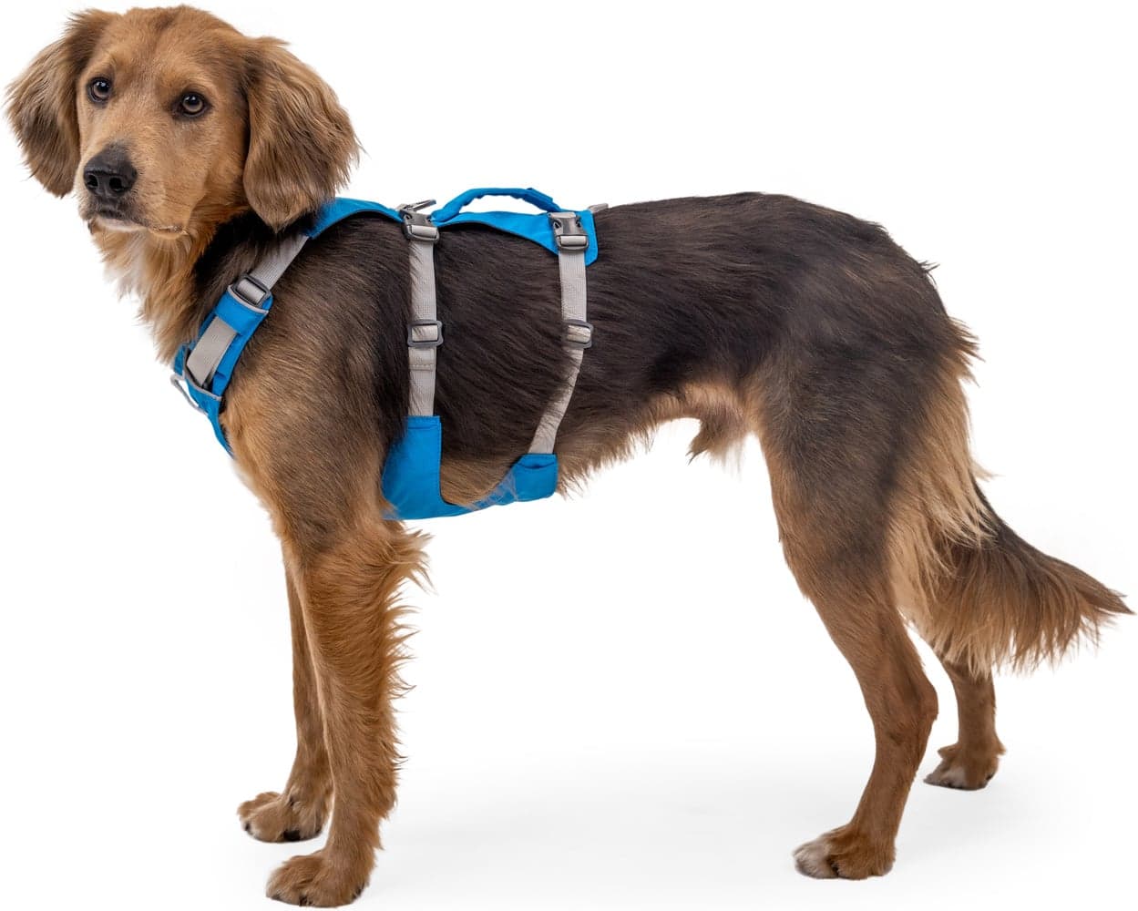 RuffWear Flagline Harness Basalt Gray Widforss ruffwear-flagline-harness-basalt-gray-widforss